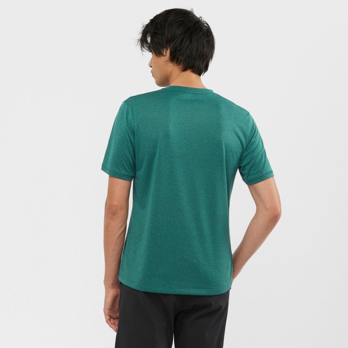 Pánské Tričko Salomon EXPLORE M Krátké Sleeve Zelene | CZ-07829NG