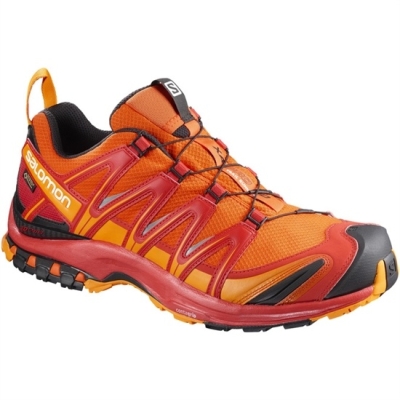 Pánské Trailové Běžecké Boty Salomon XA PRO 3D GTX Oranžové | CZ-67510PJ